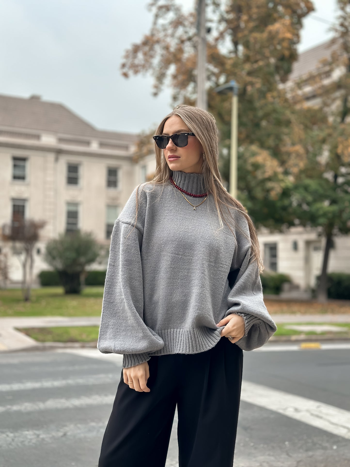 Sweater Munich Gris